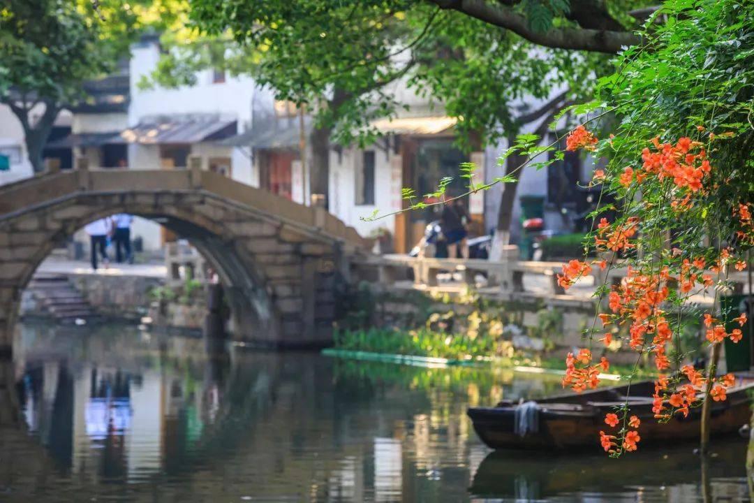为什么，知音难觅？游戏画面